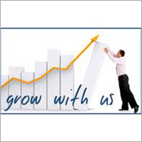 Business Growth Consultants