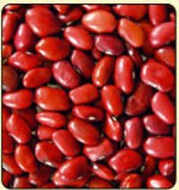 Organic Kidney Beans - Organic Material, Variable Size, Red Color | Fresh, Pure, Low Moisture, Long Shelf Life, Various Tamper-proof Packaging