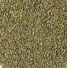 Millet (Green)
