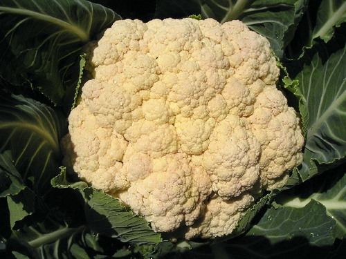 Caulifllower