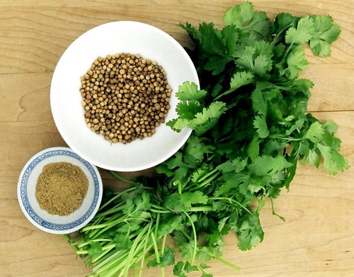 Coriander leaves