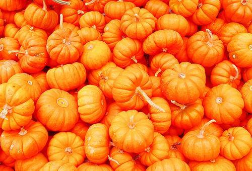 Pumpkin