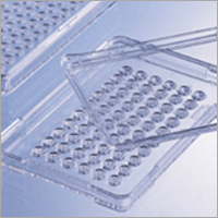Flask Slandered Cell Culture