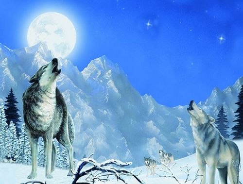 restaurant advertisement posters