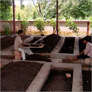 Natural Vermi Compost