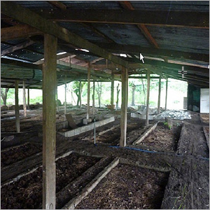 Vermicompost Manure