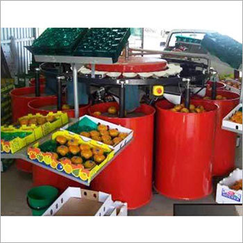 Circular Fruit Grading Machine