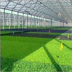 Industrial Green House
