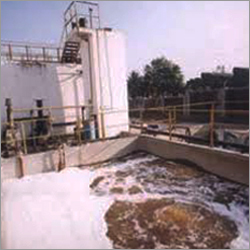 Etp Plants