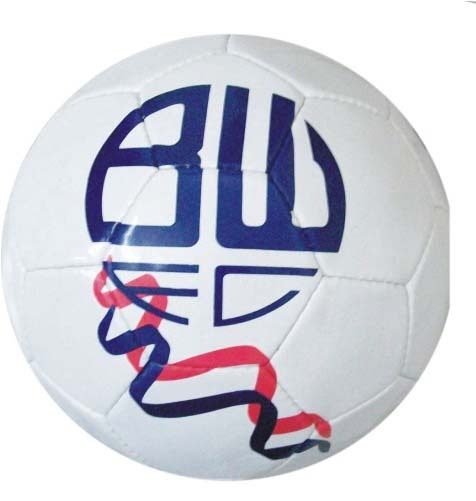 Professional Soccer Ball