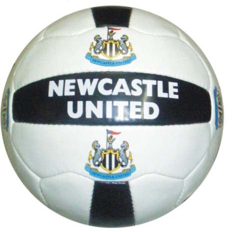 World Cup Club Soccer Ball