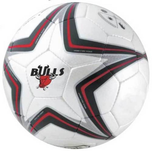 Company logo Regular Soccer Ball