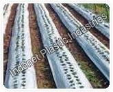 Mulching Film