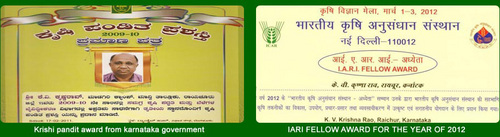 Awards & Achievement