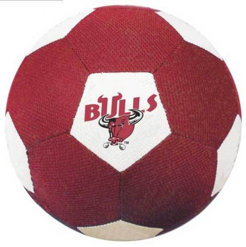 Regular Soccer Ball
