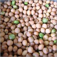 Gandule Beans
