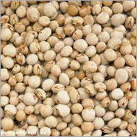 Pigeon Peas