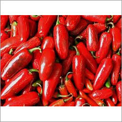Red Chilli