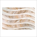 Joint Free Charge Vitrified Tile