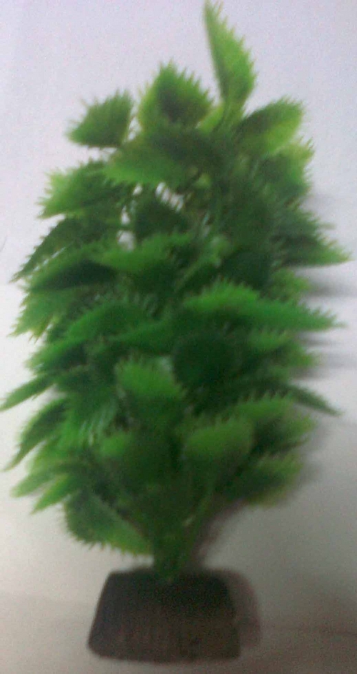 CH PLASTIC PLANT CT 1024