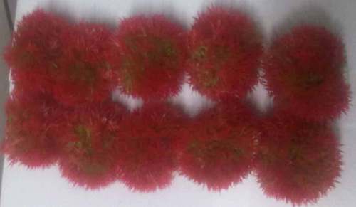 CH GRASS BALLS , RED COLOR, 10 IN 1
