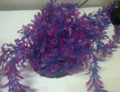 CH  L-1518, 15" AQUARIUM PLANT BUNCH