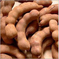 Fresh Tamarind