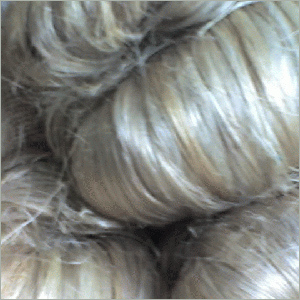 Raw Jute
