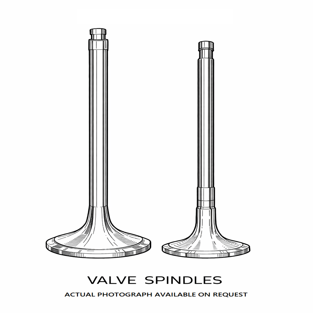 Marine Inlet Valves