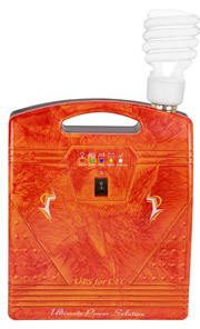 Automatic Mini Inverter
