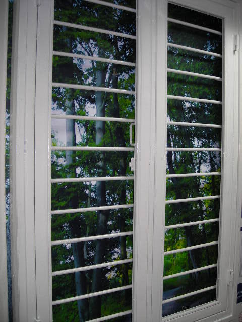 Steel Window