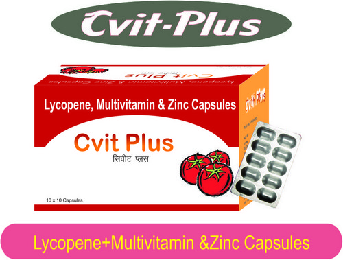 Civit Plus