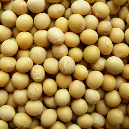 Soybean Seeds