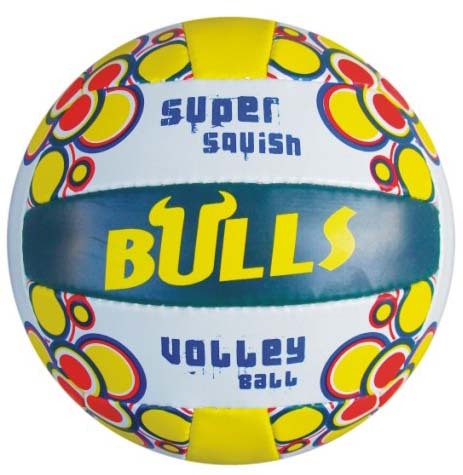 Volley ball