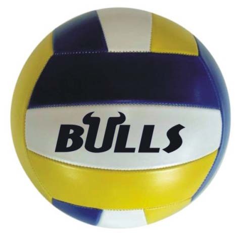 Volley ball