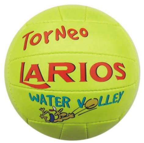 Volley ball