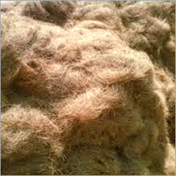 Coco Fiber
