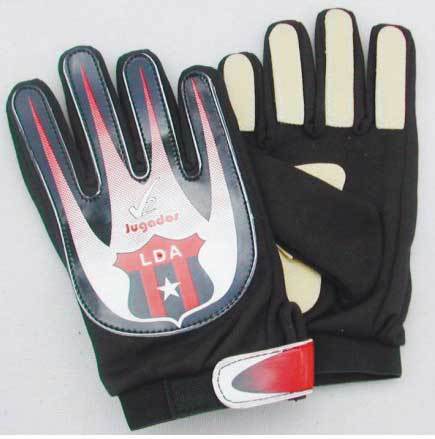 Goalie Gloves 
