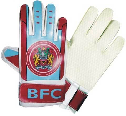 Goalie Gloves 