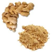 Dehydrated Ginger Powder