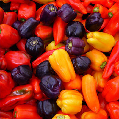 Color Capsicum