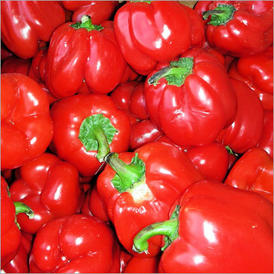 Fresh Red Capsicum