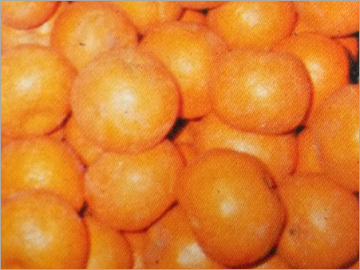 Fruits Processing Plants
