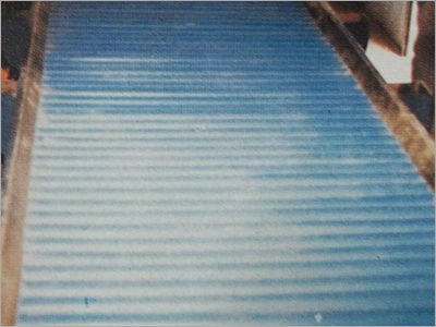 Vegetables Processing Plant