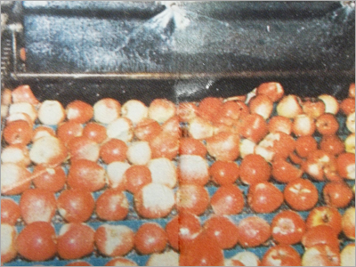 Vegetable Seed Coating
