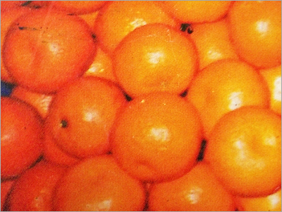 Orange County Powder Coating