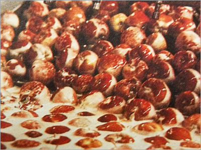 Coating On Fruit & Vegetables