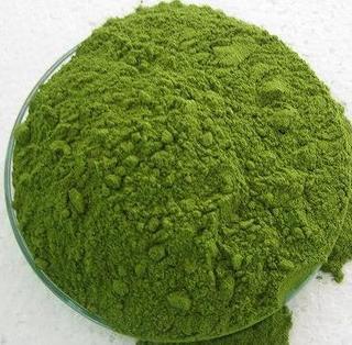 Moringa