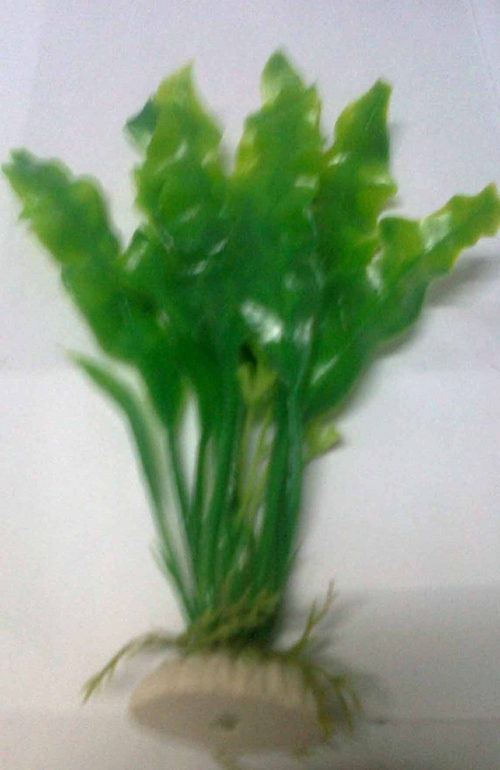 CH M- 822 AQUARIUM PLANT