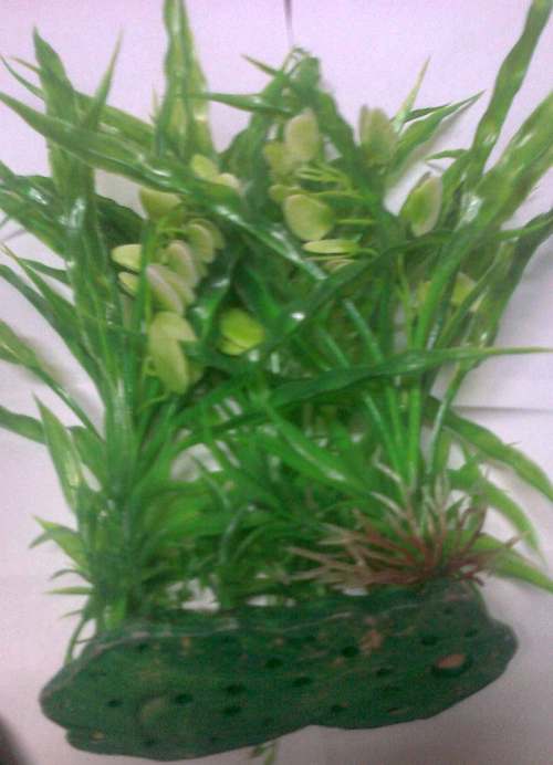 CHICOS CH M-913 AQUARIUM PLANT
